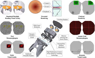 The spaceflight contrast sensitivity hypothesis and its role to investigate the pathophysiology of spaceflight-associated neuro-ocular syndrome